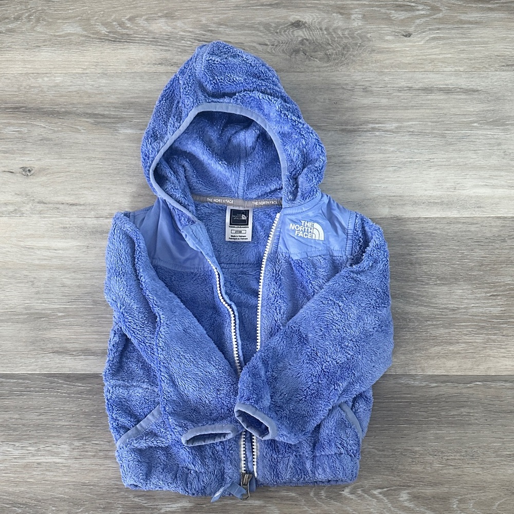 The North Face Periwinkle Fleece Jacket